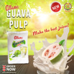 Guava Pulp (16x1kg) - Image 3