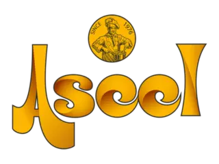 Aseel 1738657143536